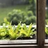 Spring’s-sustainable-home-trends